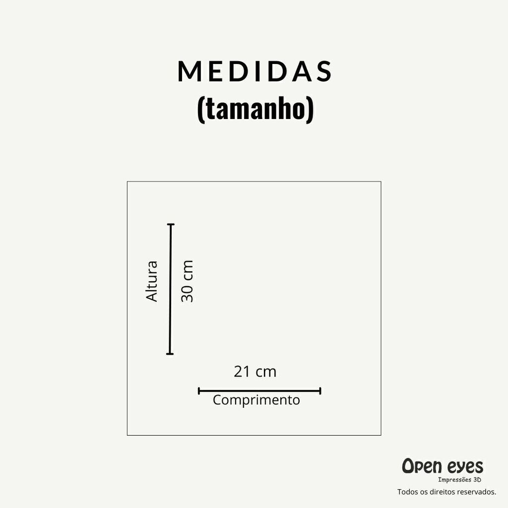 Quadro Decorativo Frase "Só vai dar certo se você tentar" - Acetato com Moldura - Imagem 3