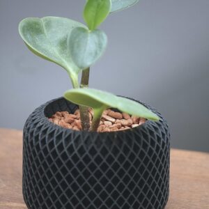 Vaso para plantas com detalhe em linhas transversais - Cachepô