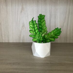 Vaso Pequeno Decorativo